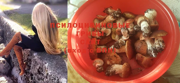 ГАЛЛЮЦИНОГЕННЫЕ ГРИБЫ Семёнов
