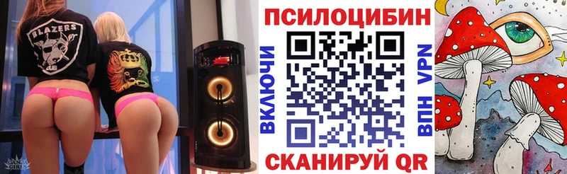 Псилоцибиновые грибы прущие грибы  MEGA tor  Новочебоксарск 